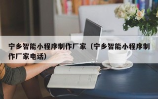 新乡宁乡智能小程序制作厂家（宁乡智能小程序制作厂家电话）