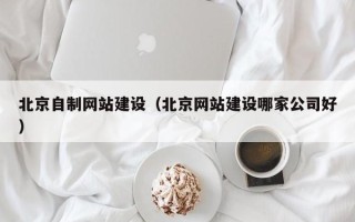 新乡北京自制网站建设（北京网站建设哪家公司好）